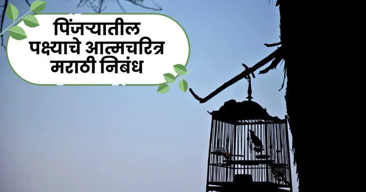 पिंजऱ्यातील पक्ष्याचे आत्मचरित्र मराठी निबंध | Caged Bird Autobiography Marathi Essay