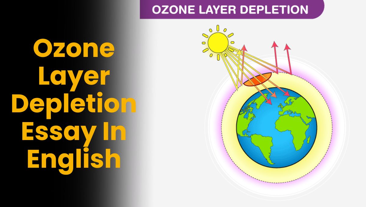 Ozone Layer Depletion Essay In English
