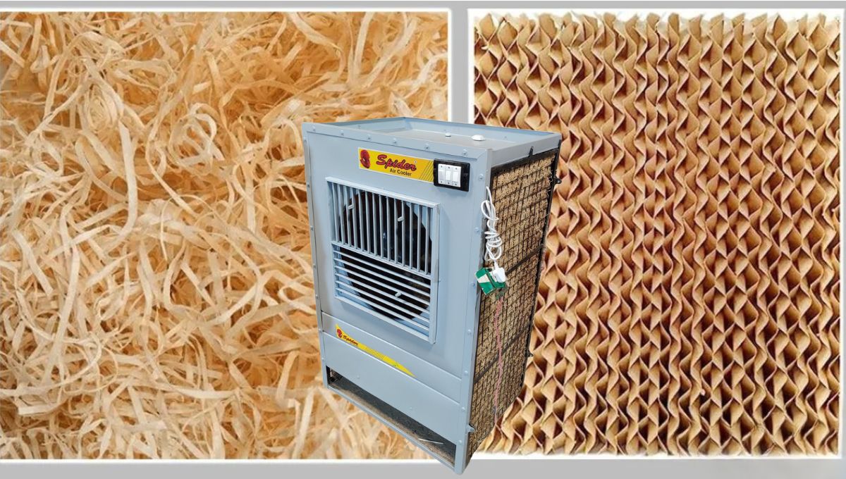 Cooler Grass: कुलरसाठी वापरण्यात येणारे गवत कशाचे असते? जाणून घ्या खास माहिती!